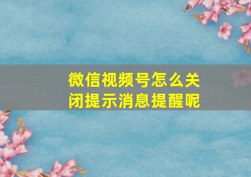 微信视频号怎么关闭提示消息提醒呢