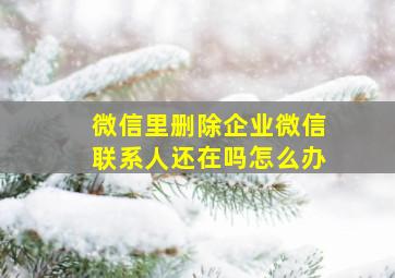 微信里删除企业微信联系人还在吗怎么办