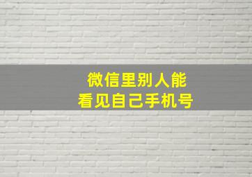 微信里别人能看见自己手机号