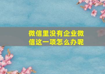 微信里没有企业微信这一项怎么办呢