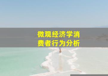 微观经济学消费者行为分析