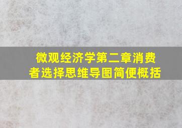 微观经济学第二章消费者选择思维导图简便概括