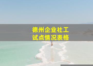 德州企业社工试点情况表格