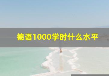 德语1000学时什么水平