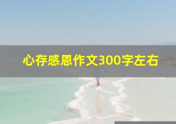 心存感恩作文300字左右