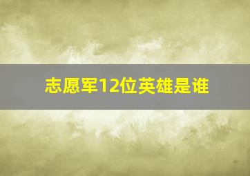 志愿军12位英雄是谁