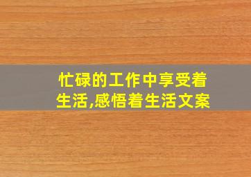 忙碌的工作中享受着生活,感悟着生活文案