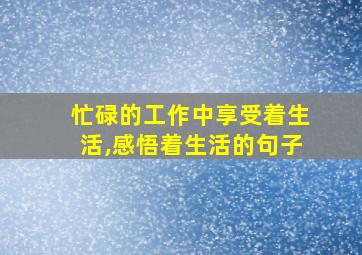 忙碌的工作中享受着生活,感悟着生活的句子