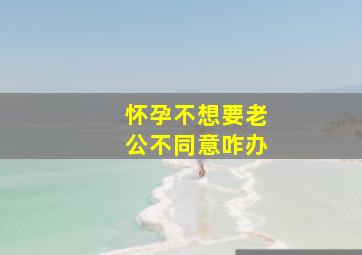 怀孕不想要老公不同意咋办