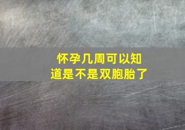 怀孕几周可以知道是不是双胞胎了