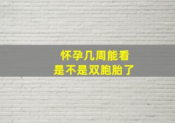 怀孕几周能看是不是双胞胎了