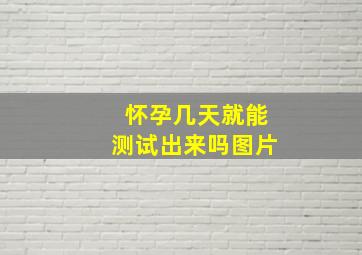 怀孕几天就能测试出来吗图片