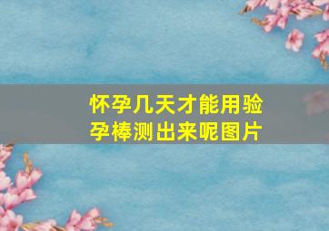 怀孕几天才能用验孕棒测出来呢图片