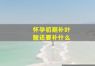 怀孕初期补叶酸还要补什么