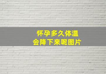 怀孕多久体温会降下来呢图片