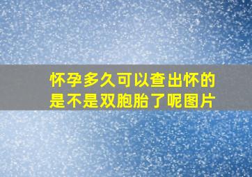 怀孕多久可以查出怀的是不是双胞胎了呢图片