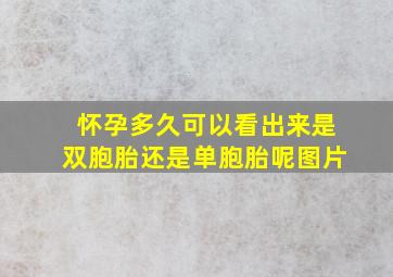 怀孕多久可以看出来是双胞胎还是单胞胎呢图片