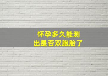 怀孕多久能测出是否双胞胎了