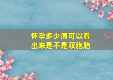 怀孕多少周可以看出来是不是双胞胎