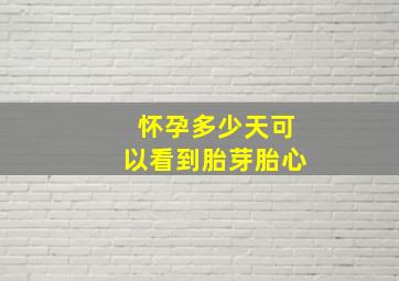 怀孕多少天可以看到胎芽胎心