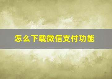 怎么下载微信支付功能