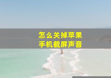 怎么关掉苹果手机截屏声音