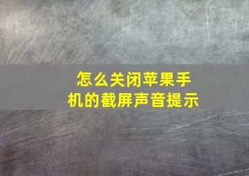 怎么关闭苹果手机的截屏声音提示