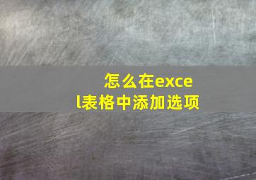 怎么在excel表格中添加选项