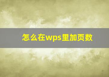 怎么在wps里加页数