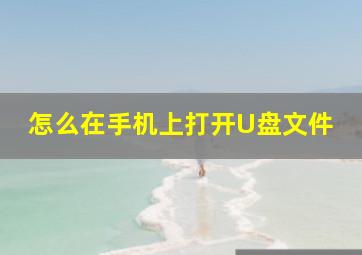 怎么在手机上打开U盘文件