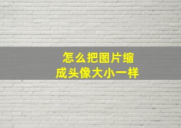 怎么把图片缩成头像大小一样