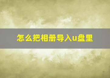 怎么把相册导入u盘里