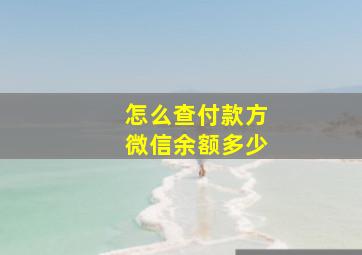 怎么查付款方微信余额多少