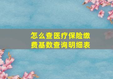 怎么查医疗保险缴费基数查询明细表