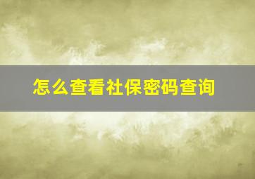 怎么查看社保密码查询