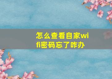 怎么查看自家wifi密码忘了咋办