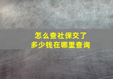 怎么查社保交了多少钱在哪里查询