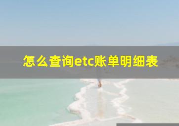 怎么查询etc账单明细表