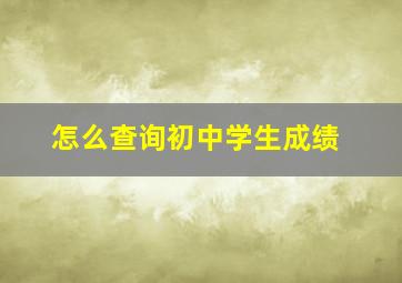 怎么查询初中学生成绩