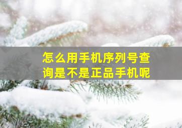 怎么用手机序列号查询是不是正品手机呢