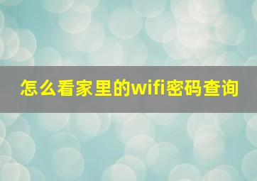 怎么看家里的wifi密码查询