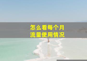 怎么看每个月流量使用情况