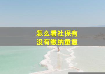 怎么看社保有没有缴纳重复