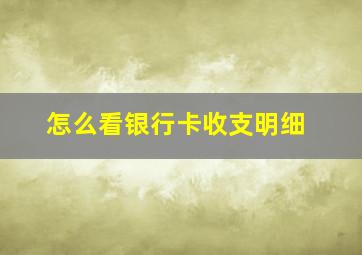 怎么看银行卡收支明细