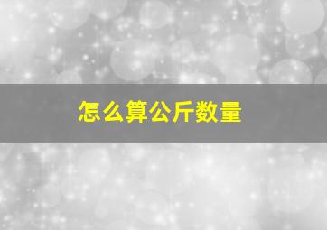 怎么算公斤数量