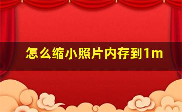 怎么缩小照片内存到1m