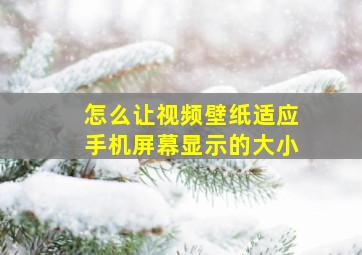 怎么让视频壁纸适应手机屏幕显示的大小