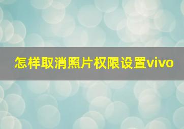 怎样取消照片权限设置vivo