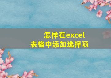 怎样在excel表格中添加选择项