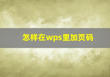 怎样在wps里加页码